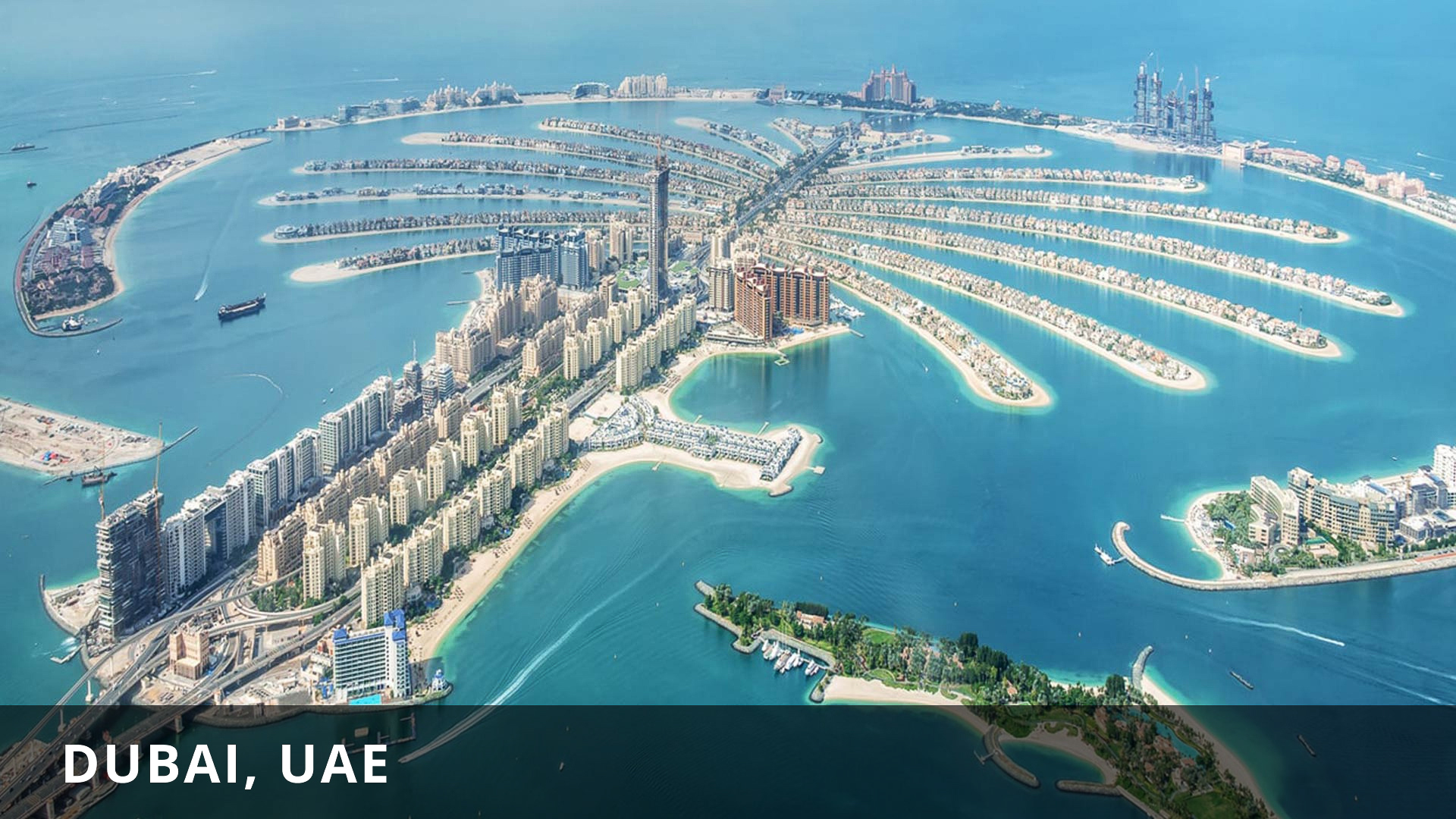 Dubai - Reimer Real Estate